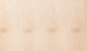 ホワイトバーチ柾目