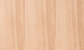 カバ