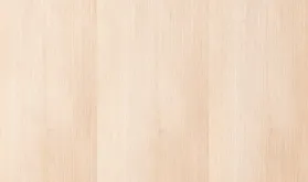 ツガ柾目