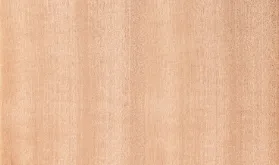 モアビ柾目
