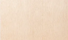 アユース柾目